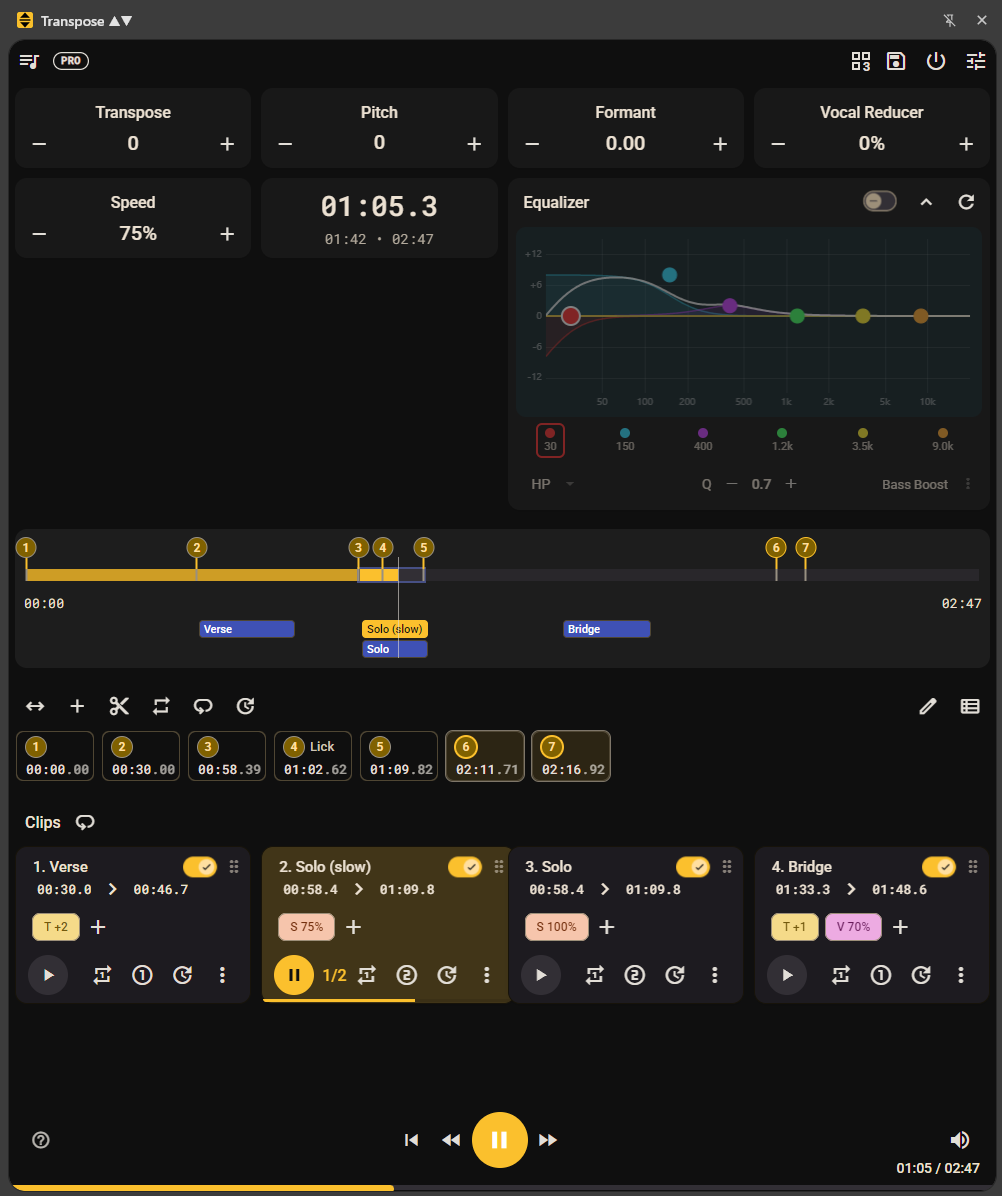 Transpose Pro workspace
